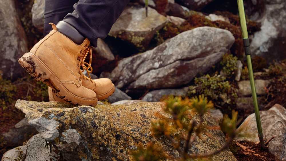 Best Budget Hiking Boots